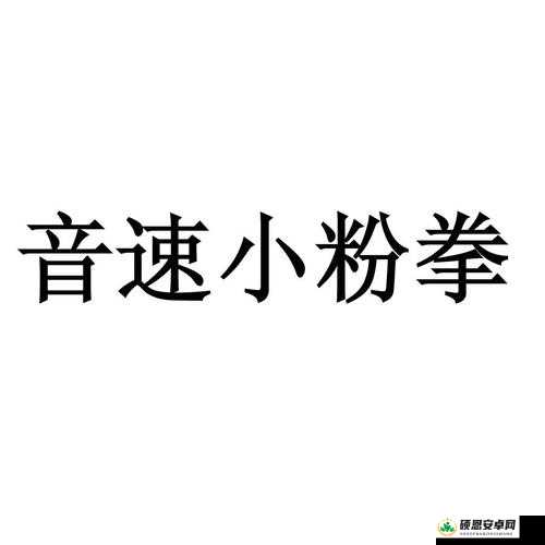 音速小粉拳体力提升全攻略，揭秘解锁无限能量与持久战斗力的秘密